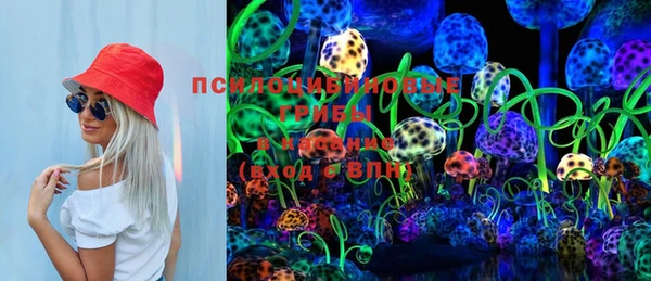 бутират Пересвет