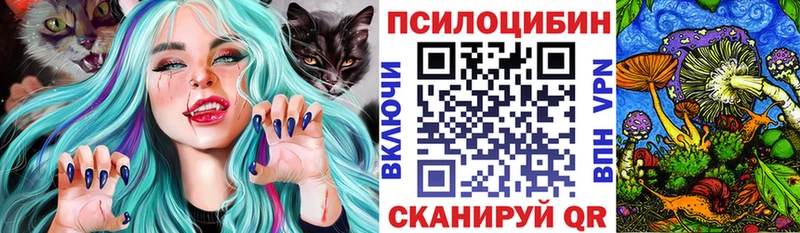 где купить наркоту  Лысково  Псилоцибиновые грибы Psilocybine cubensis 